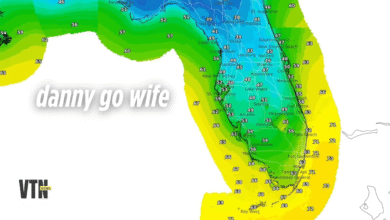 florida freeze warning polar cold front